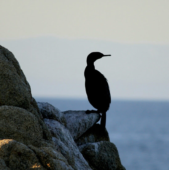 2017-11-01 10.52.28.jpg